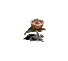 폭탄 꽃